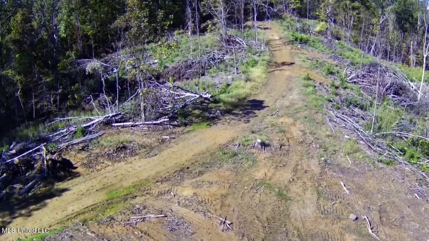 741 Jeff Sanders Road Batesville, MS 38606 - Photo 39 of 43 a