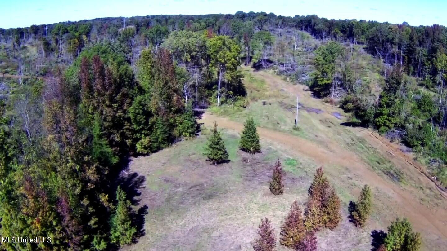 741 Jeff Sanders Road Batesville, MS 38606 - Photo 8 of 43 h