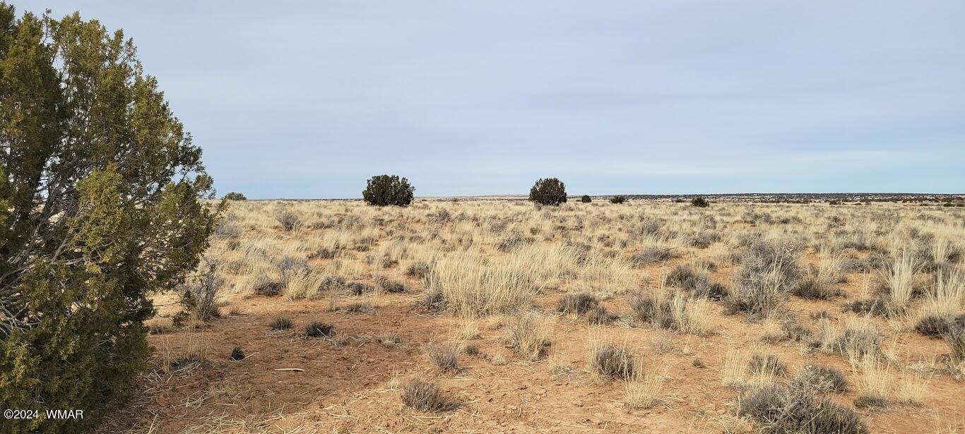 Tbd Tbd Lois Lane Snowflake, AZ 85937 - Photo 1 of 15 a view of a dry yard with wooden fence