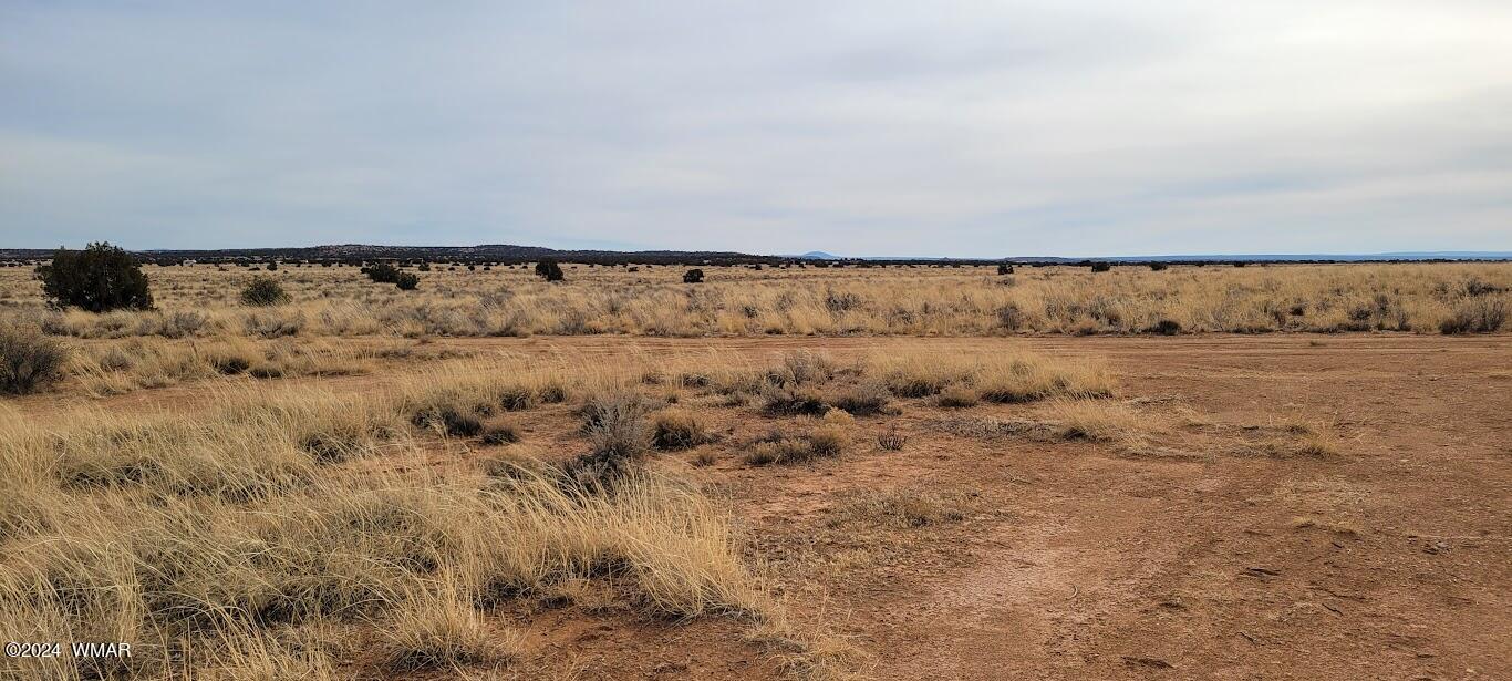 Tbd Tbd Lois Lane Snowflake, AZ 85937 - Photo 13 of 15 a view of a field