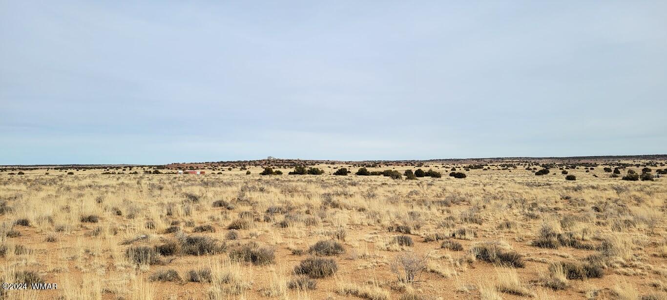 Tbd Tbd Lois Lane Snowflake, AZ 85937 - Photo 3 of 15 a view of a dry yard with wooden fence