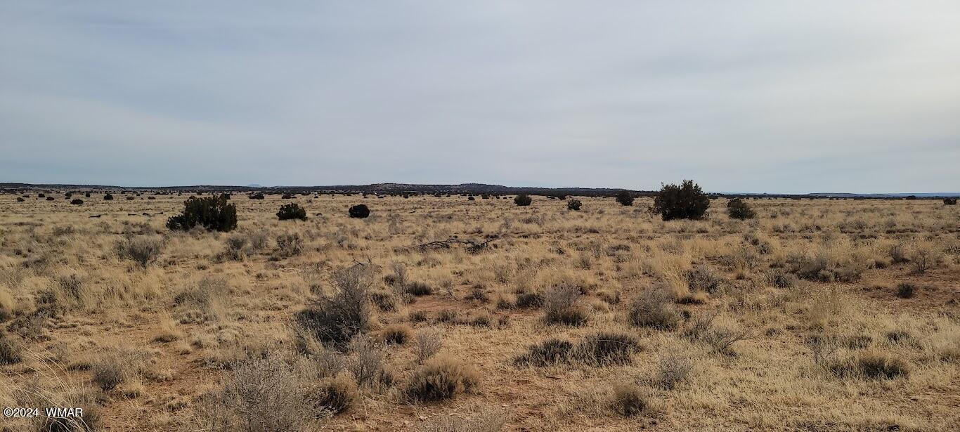 Tbd Tbd Lois Lane Snowflake, AZ 85937 - Photo 5 of 15 a view of a dry yard