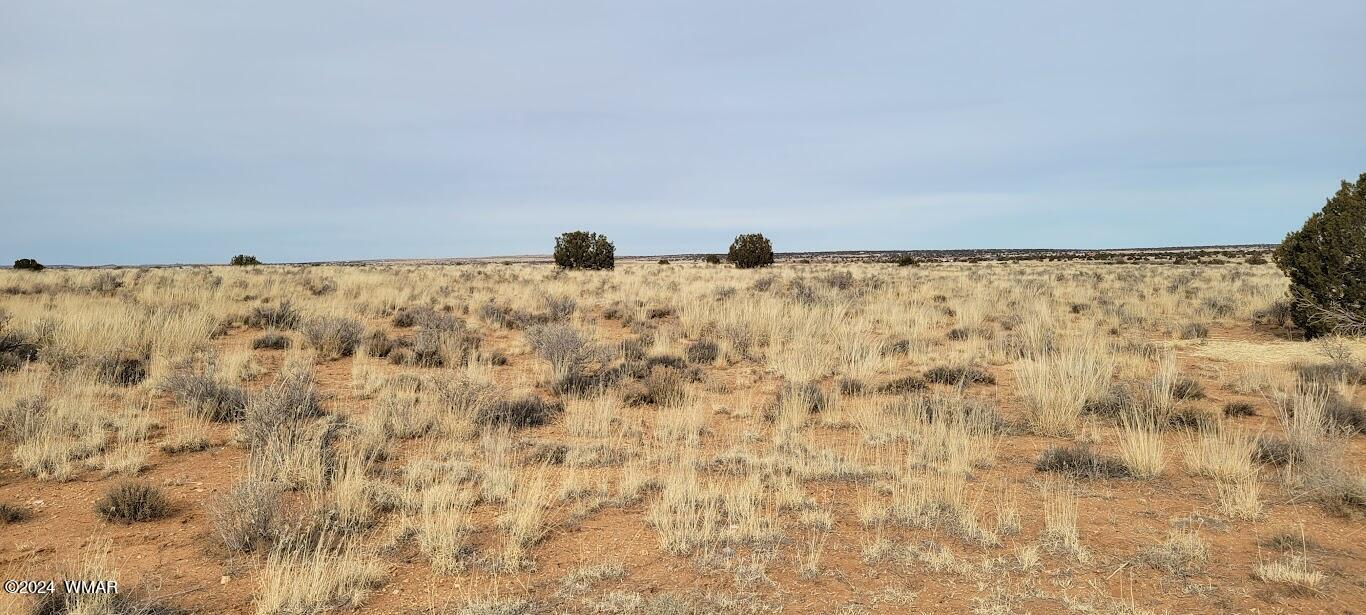 Tbd Tbd Lois Lane Snowflake, AZ 85937 - Photo 7 of 15