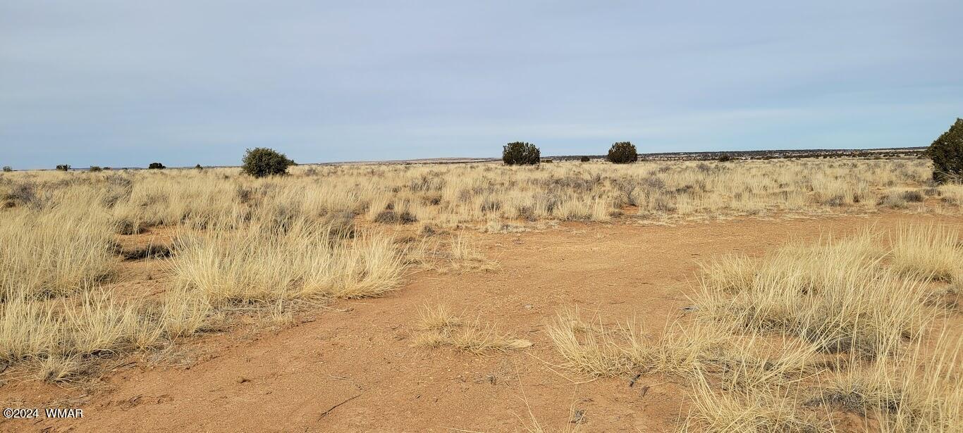Tbd Tbd Lois Lane Snowflake, AZ 85937 - Photo 8 of 15