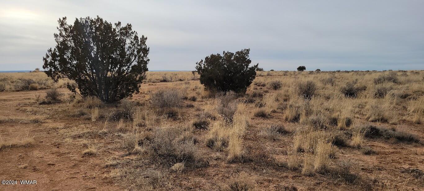 Tbd Tbd Lois Lane Snowflake, AZ 85937 - Photo 10 of 15 a view of a dry in a field