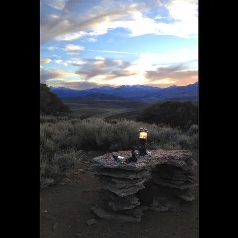 a view of a yard with wooden fence