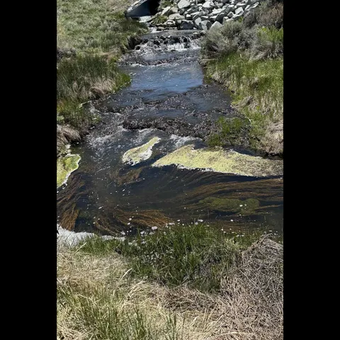 a view of an outdoor space and a yard
