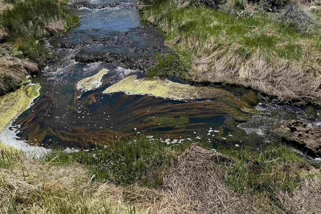 a view of an ocean and beach