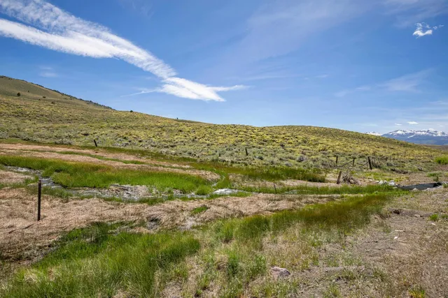 a view of a field with an ocean