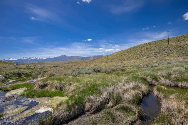 a view of a field with an ocean