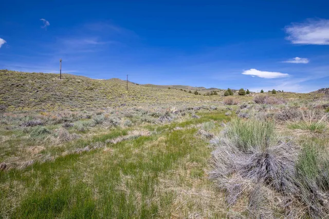 a view of an ocean beach