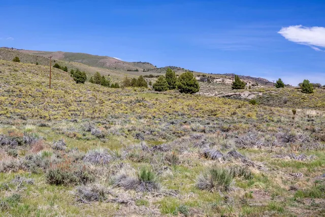 a view of a dry field with mountains in the background