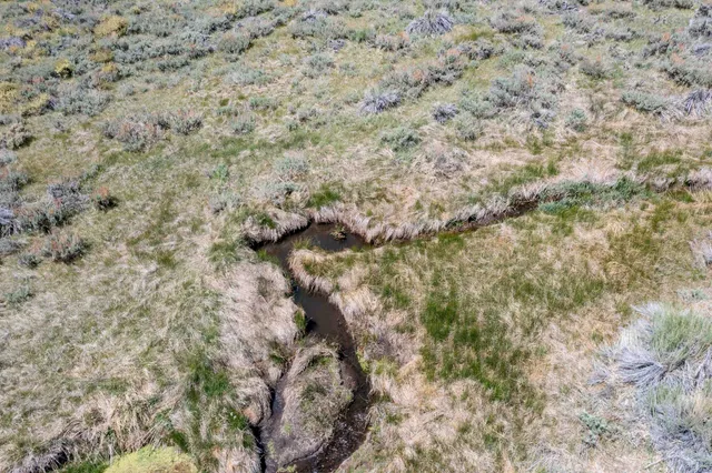 a view of a dry yard with green space