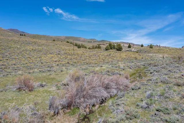 a view of a dry field with mountains in the background