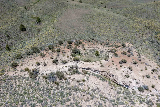 a view of a dry field with mountains in the background