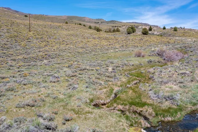 a view of a dry yard with wooden fence