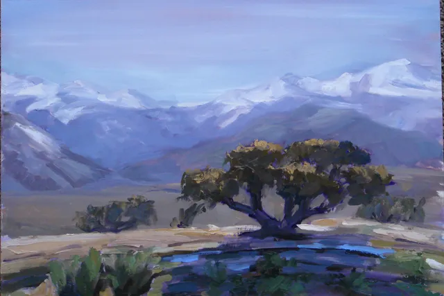 a view of a yard in front of a house