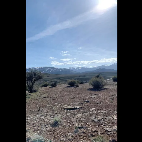 a view of a lake from a yard