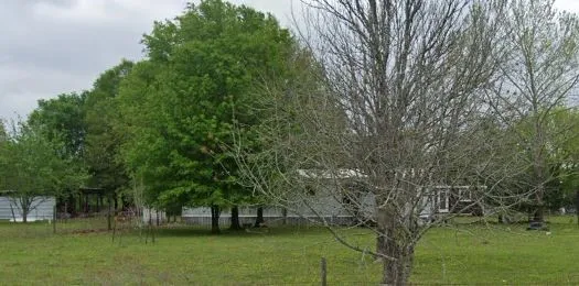 a view of green field