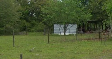 a backyard of a house with plants and tree