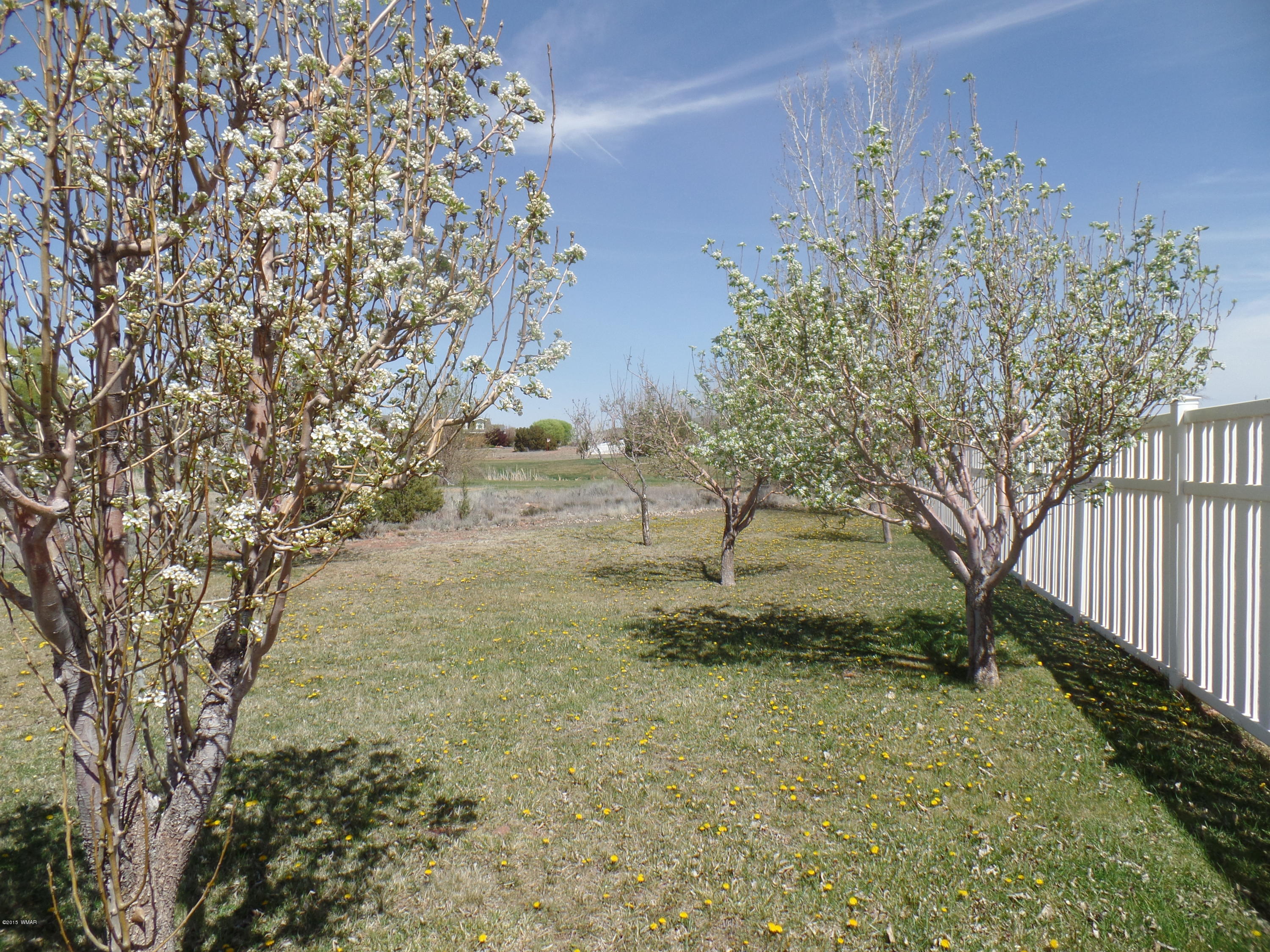 2385 Lake Road Snowflake, AZ 85937 - Photo 25 of 30 Gallery Image 25