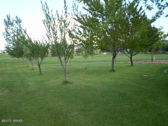 2385 Lake Road Snowflake, AZ 85937 - Photo 30 of 30 Gallery Image 30