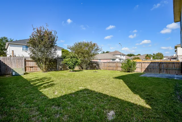 a view of a backyard with plants and a garden