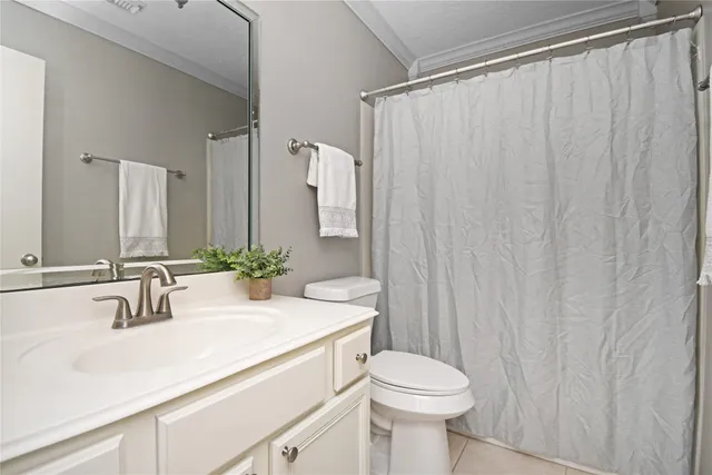 a bathroom with a sink a toilet and shower curtain