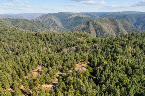 a view of a lush green hillside and a mountain
