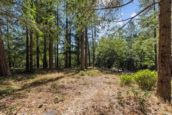 a backyard of a house with lots of green space