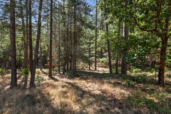 a view of outdoor space and trees