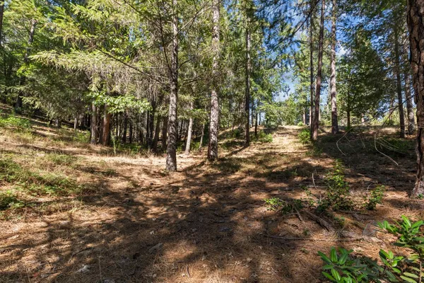 a view of outdoor space with trees
