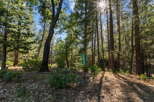 a view of outdoor space and trees