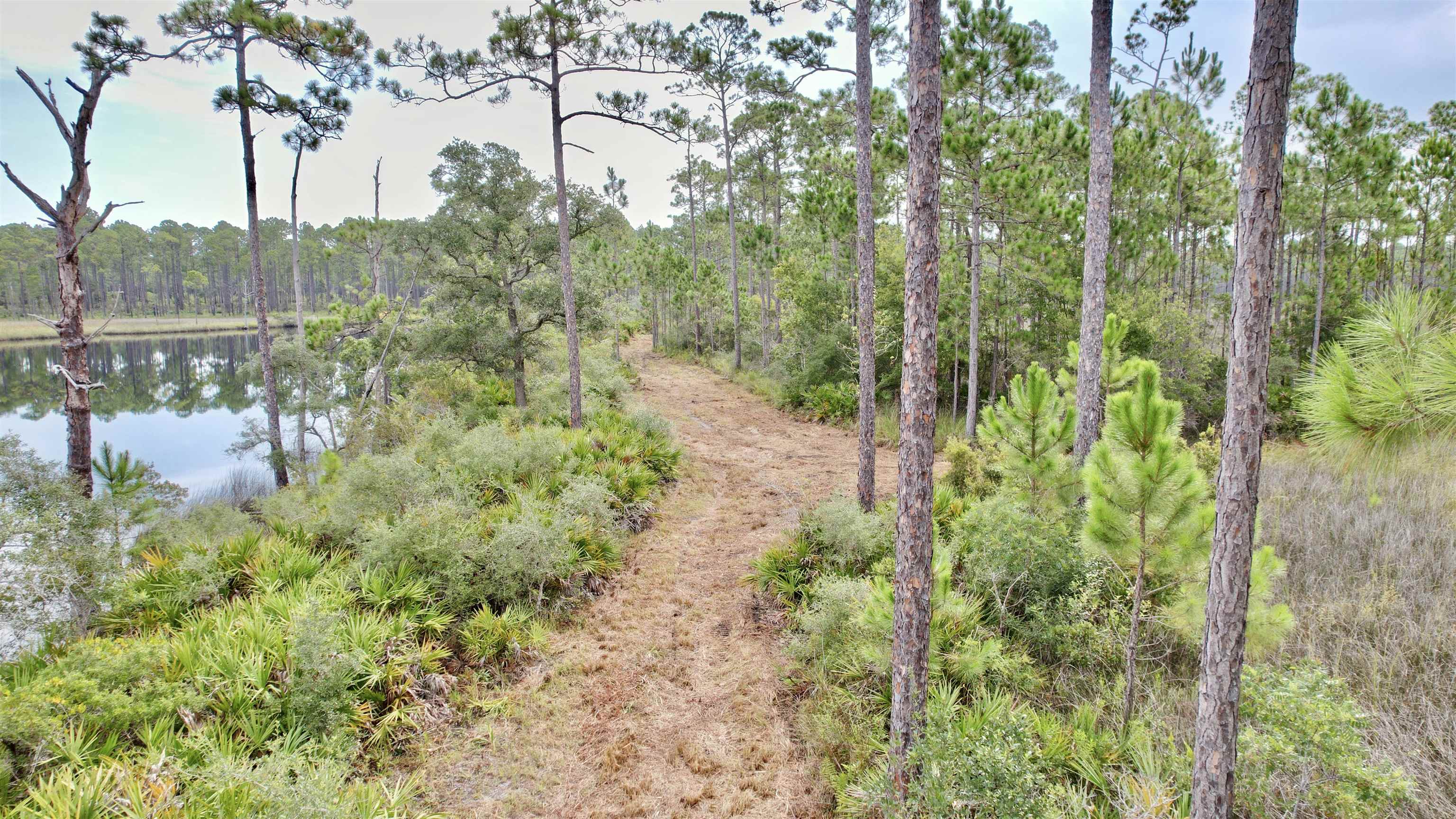 Xx Mill Road Carrabelle, FL 32322 - Photo 16 of 17