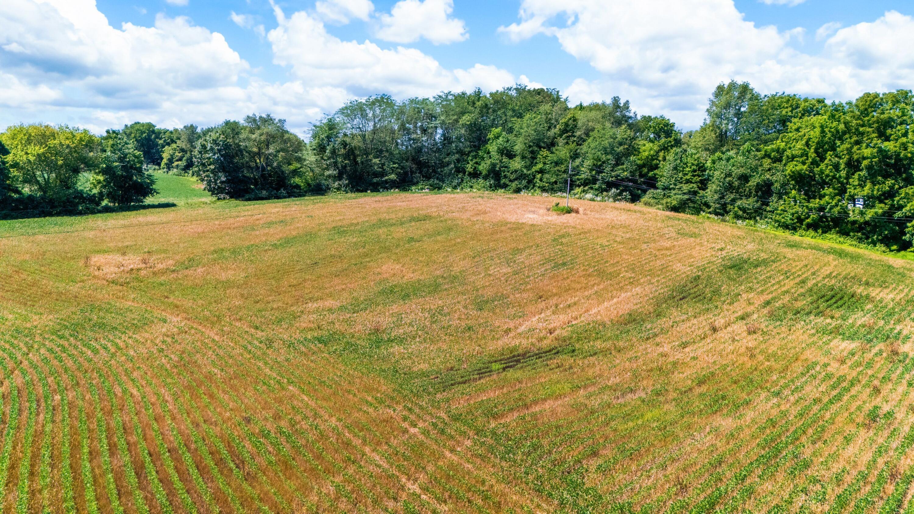 12753 Bliss Road Marcellus, MI 49067 - Photo 25 of 45 22DJI_20260803121541_0026_D