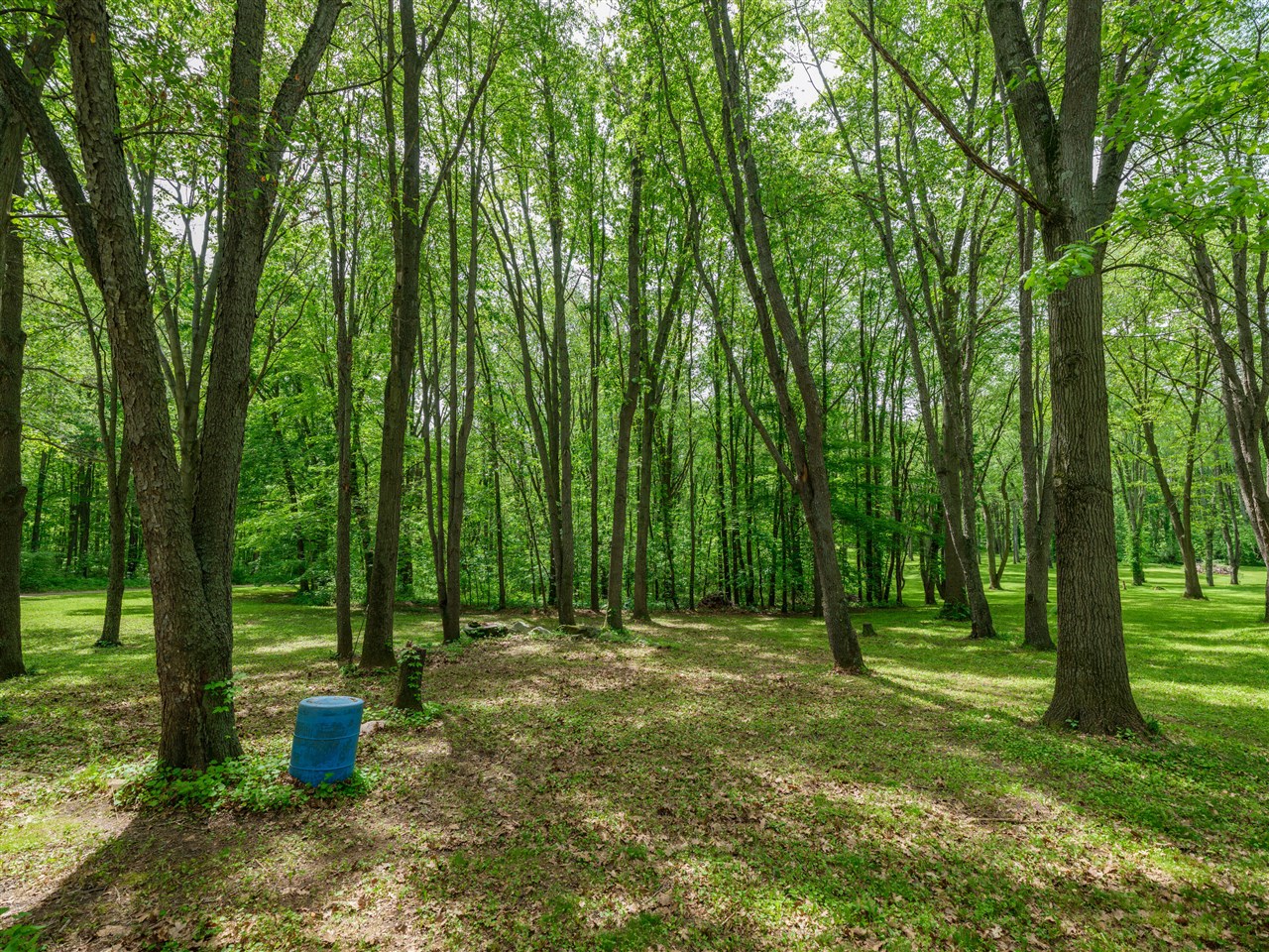 4511 Waldorf Road Delton, MI 49046 - Photo 26 of 30