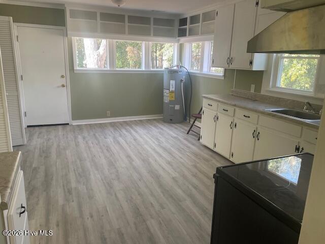 203 Allen Street Elizabethtown, NC 28337 - Photo 8 of 17 Litchen