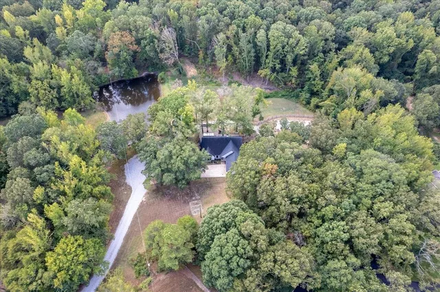 a view of a garden with potted plants