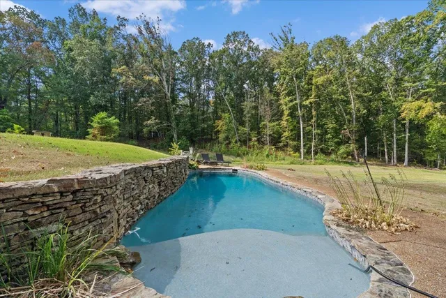 a view of a swimming pool with a yard