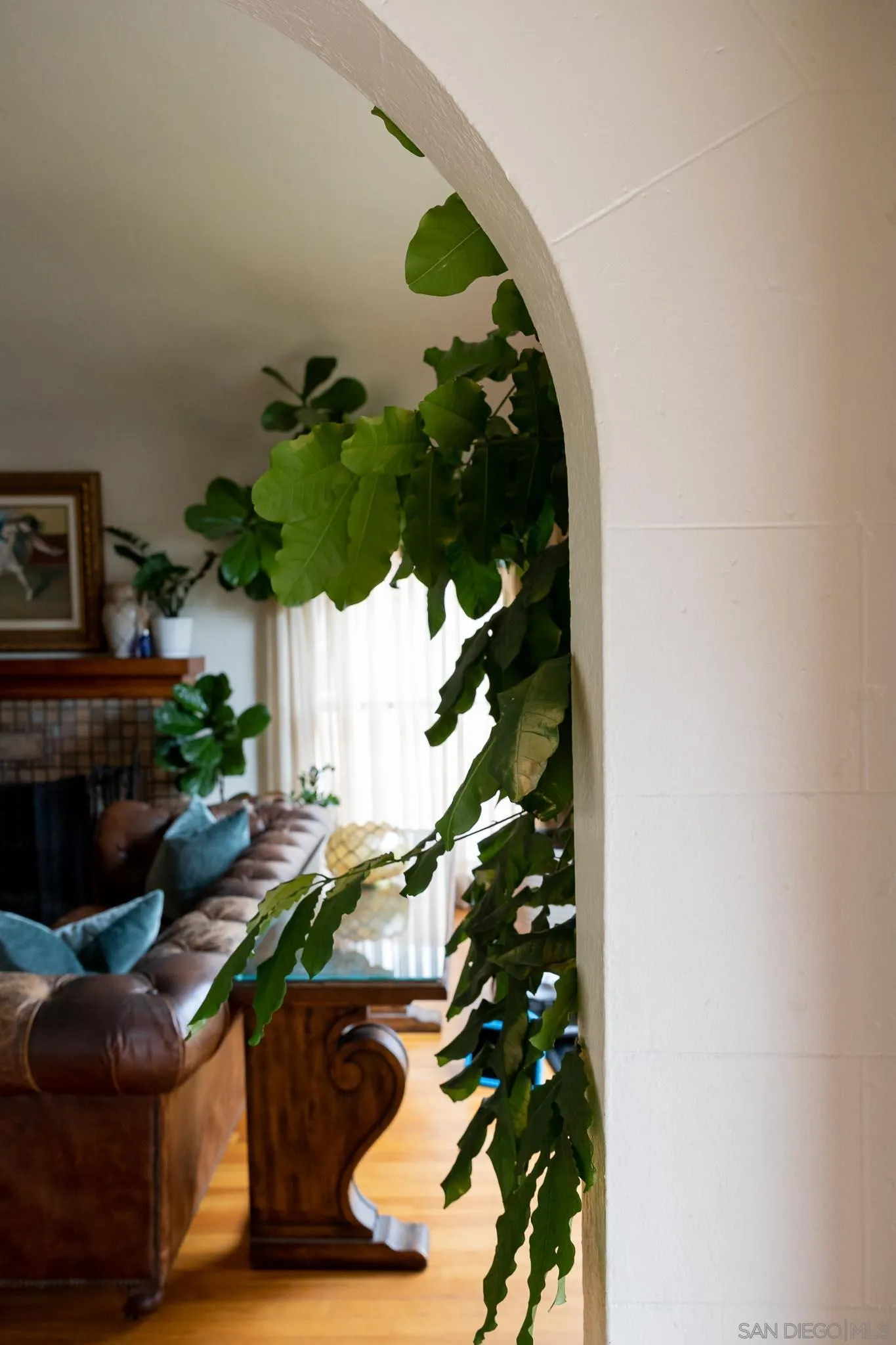 4192 Rochester Road San Diego, CA 92116 - Photo 7 of 49 a picture of a flower pot with wooden floor