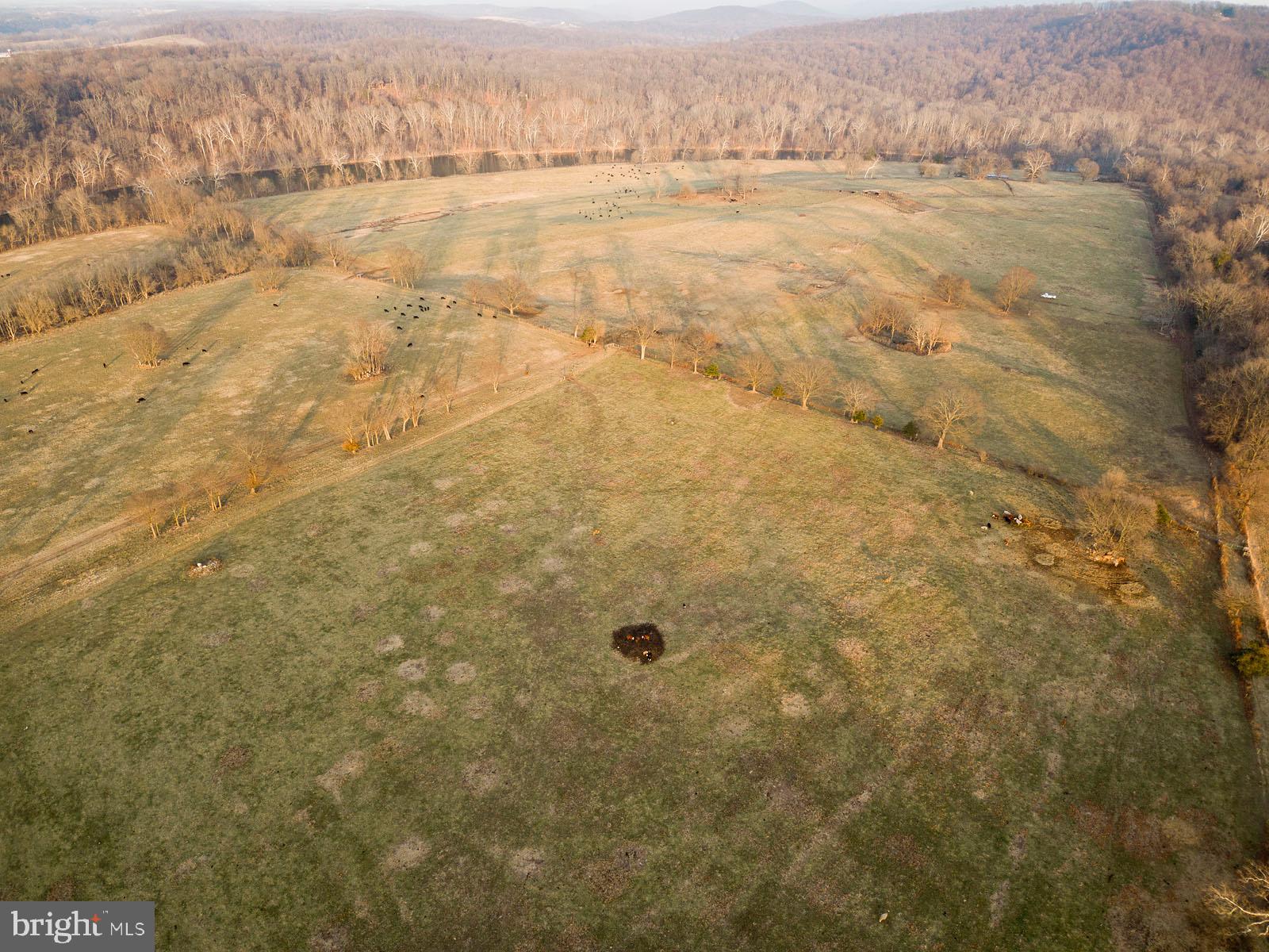 1352 Tilthammer Mill Road Boyce, VA 22620 - Photo 12 of 53 Gallery Image 12