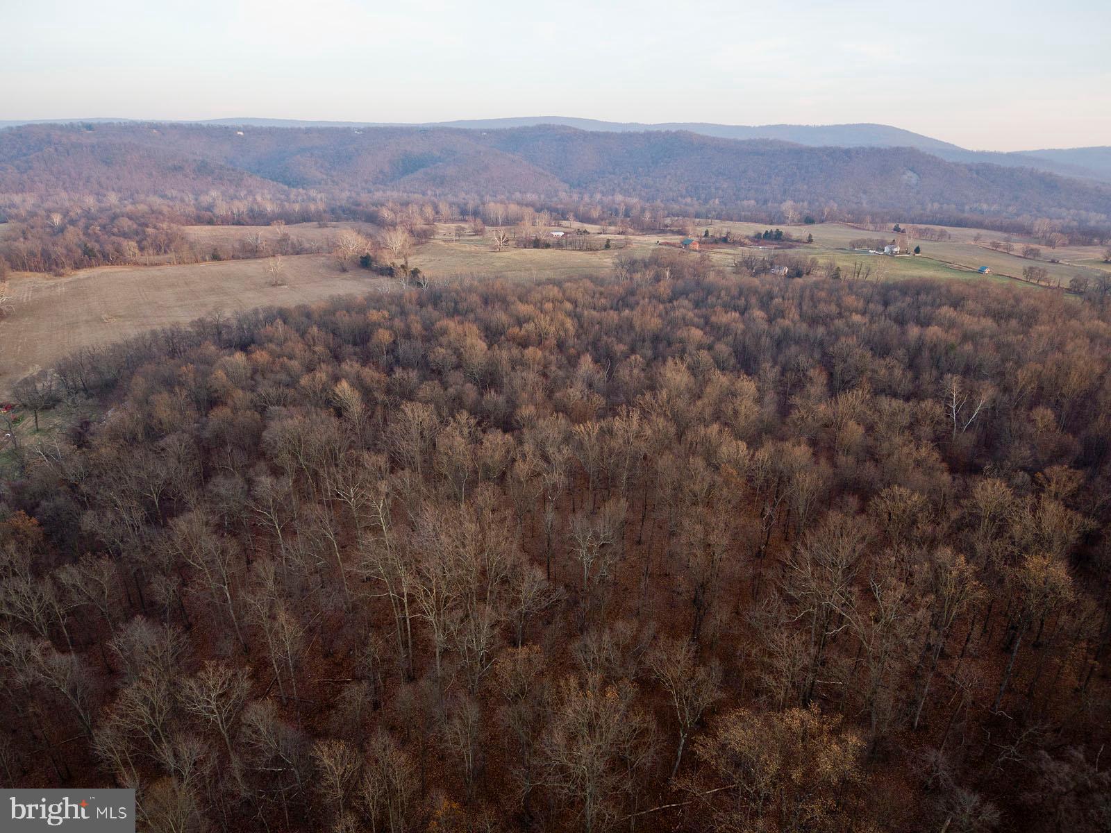 1352 Tilthammer Mill Road Boyce, VA 22620 - Photo 28 of 53 Gallery Image 28