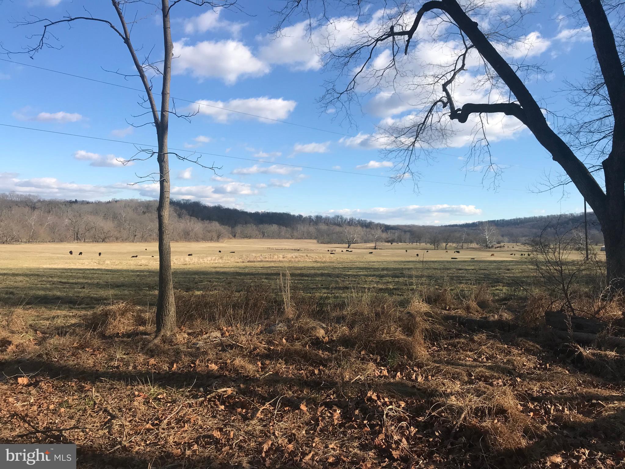1352 Tilthammer Mill Road Boyce, VA 22620 - Photo 46 of 53 Gallery Image 46