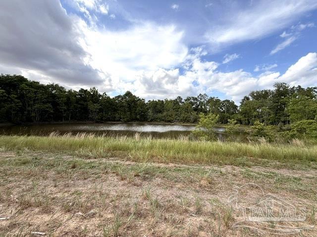 Lot 2-3 Tungoil Road Walnut Hill, FL 32568 - Photo 5 of 11