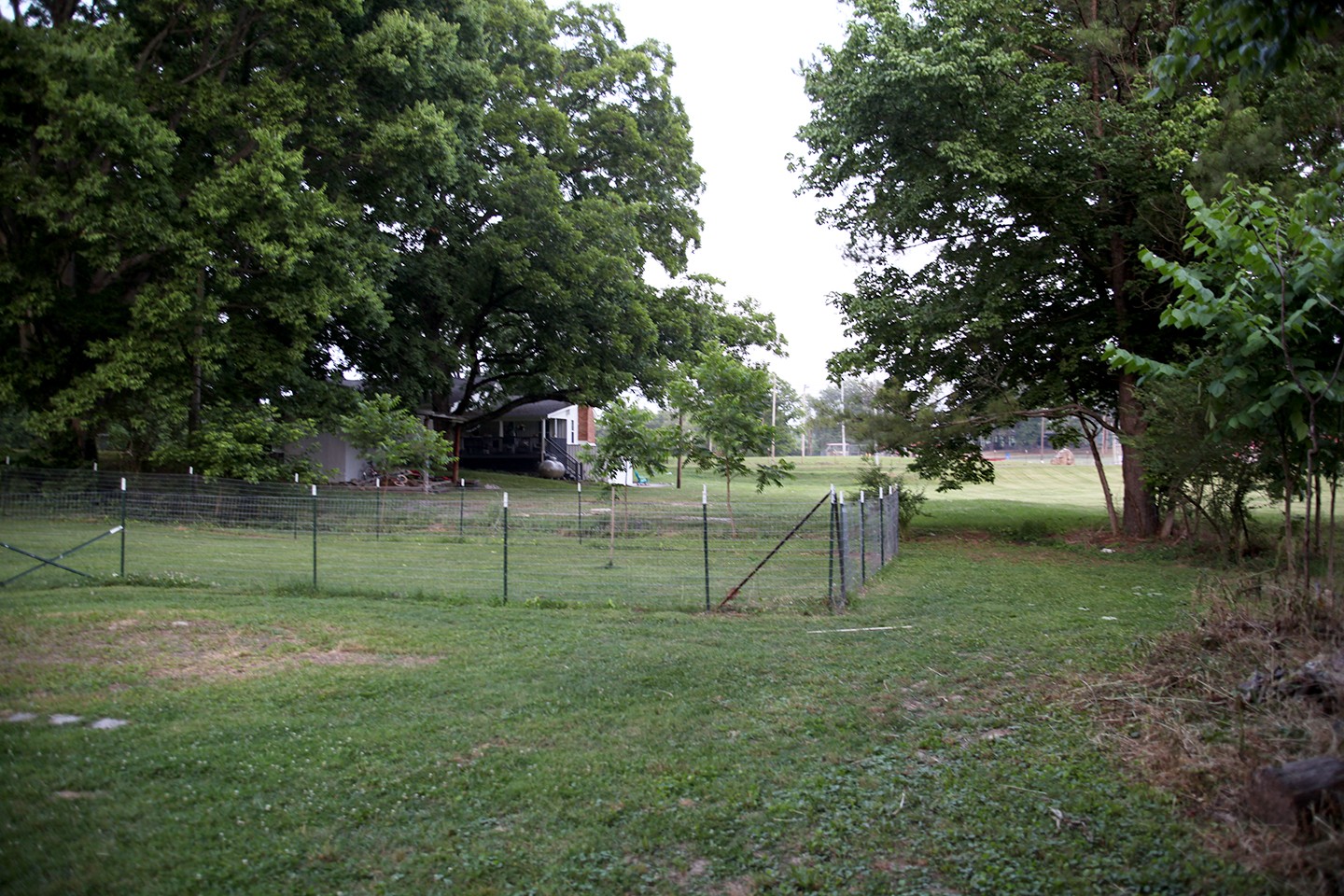210 Maple Street Adams, TN 37010 - Photo 5 of 35 a view of a backyard with wooden fence