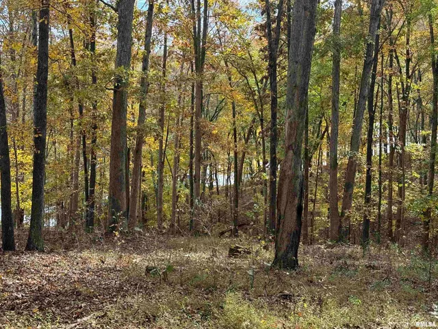 $19,900 | 130 Rocky Point, Goreville, IL 62939