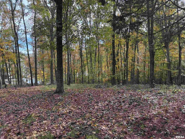 $19,900 | 130 Rocky Point, Goreville, IL 62939