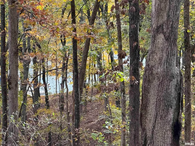 $19,900 | 130 Rocky Point, Goreville, IL 62939