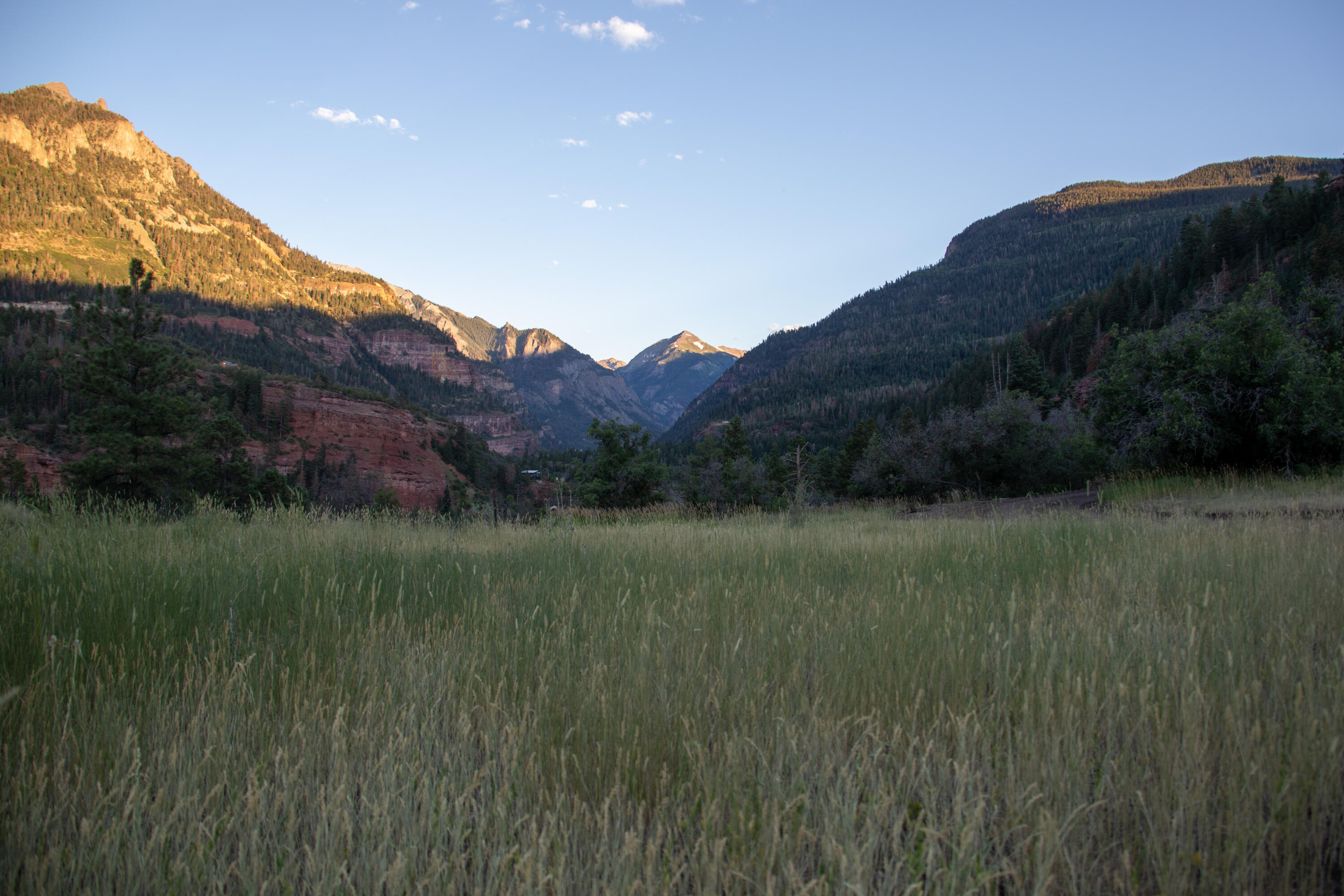 17 County Road 17 Ridgway, CO 81432 - Photo 5 of 8 a view of a lush green space with a mountain in the background