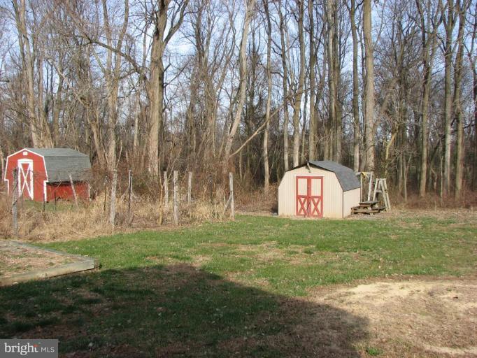 29165 Ricks Landing Road Kennedyville, MD 21645 - Photo 6 of 13 Back Yard and Shed